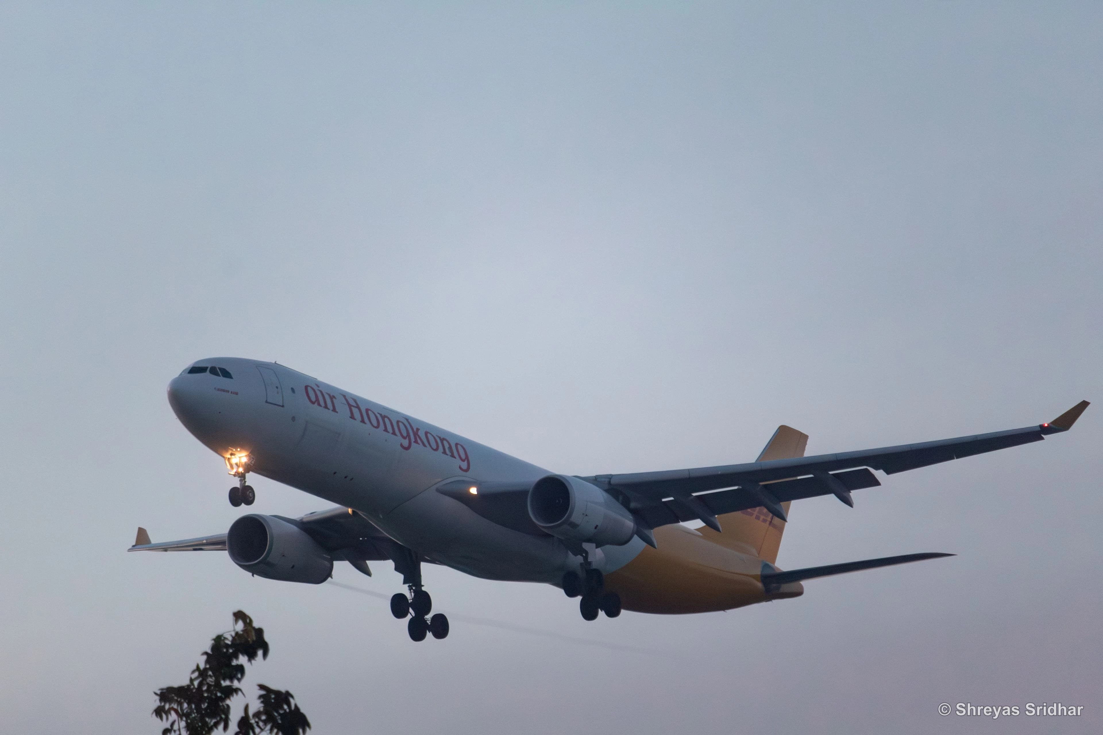 Air Hong Kong · Airbus A330-300P2F · B-LDZ